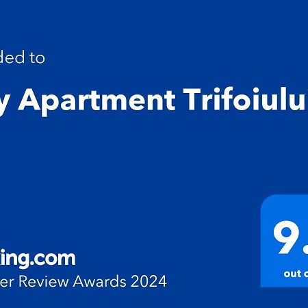 City Apartment Trifoiului Клуж-Напока Экстерьер фото